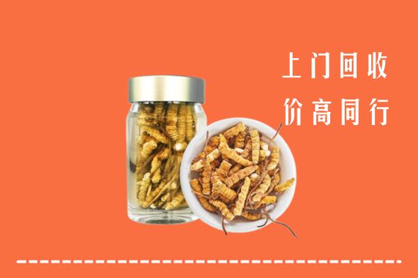 小金县回收冬虫夏草