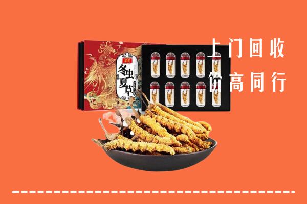 小金县回收虫草